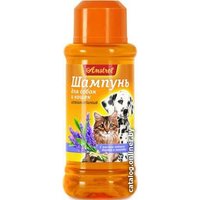 Шампунь Amstrel репелентный от блох с маслом лаванды и чайного дерева 320 мл