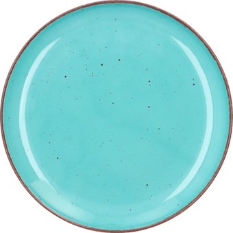 Тарелка обеденная Cmielow i Chodziez Atelier City CT05-0T01191 (бирюзовый)