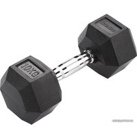 Гантель Indigo IN124 10кг