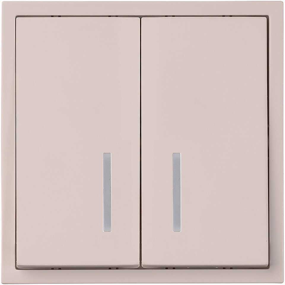 Выключатель SmartBuy Капелла SBE-09i-10-SW2-1