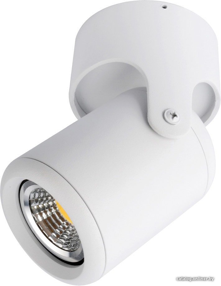 Спот Arte Lamp Libra A3316PL-1WH