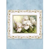 Картина Декарт Белые Ирисы 2 8Л0742 (в раме)