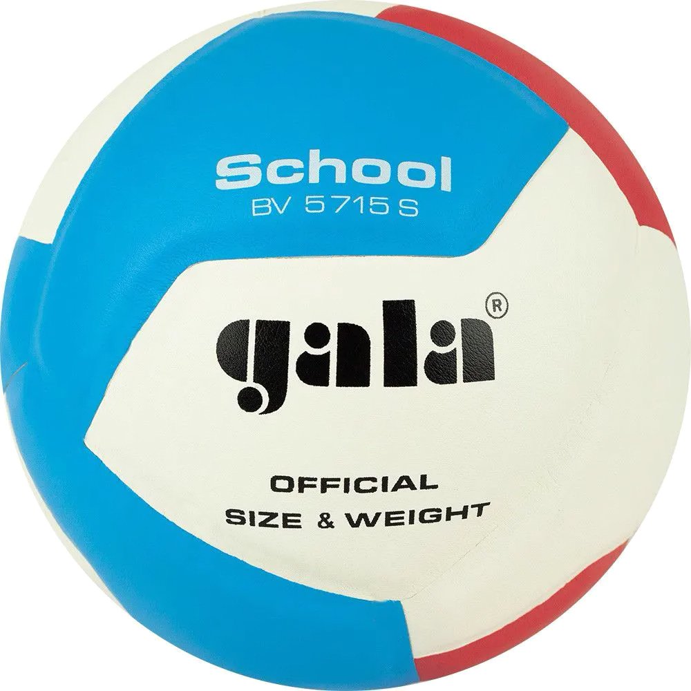 

Волейбольный мяч Gala School 12 BV 5715 S (размер 5, белый/красный/голубой)