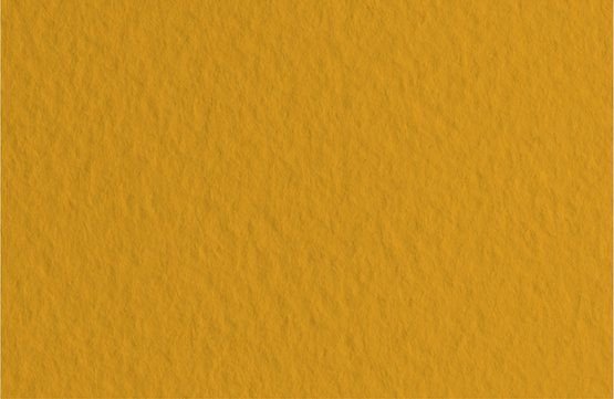 

Бумага для сухих техник Невская палитра Мастер-Класс 50х65 см 275452659 (10 л, сиена натуральная)