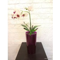 Кашпо GardenPlast Камелия 1.5 л (белый)