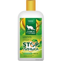Шампунь Pchelodar Мед и травы Stop линька с медом и лопухом для кошек (250 мл)