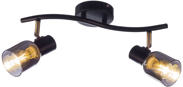 

Припотолочная люстра Aitin Pro НПБ 02-2x60-102 51976/2 (бронза/черный)