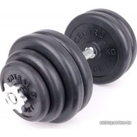 Гантель Central Sport 29.5 кг