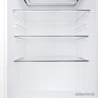 Однокамерный холодильник Tesler RC-95 (белый)