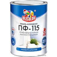 Эмаль Olecolor ПФ-115 универсальная 2.7 кг (голубой)