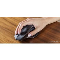 Мышь Logitech MX Master (910-004362)