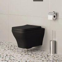 Сиденье для унитаза Ambassador Benefit 202T20201S (черный матовый)
