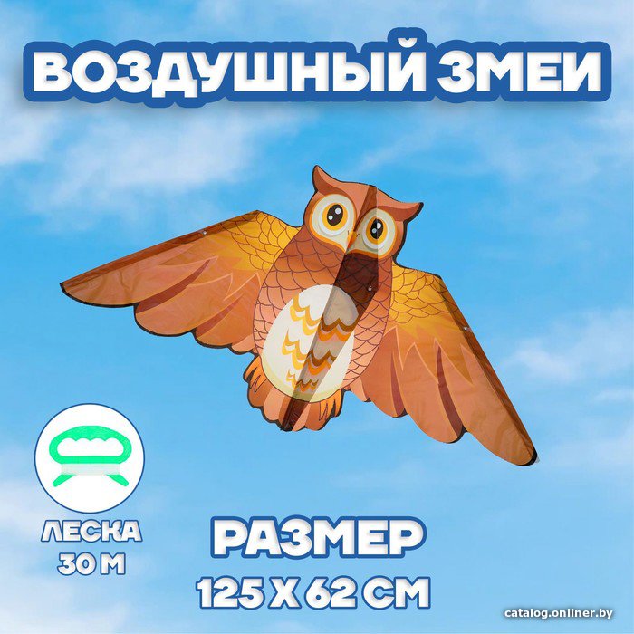 Воздушный змей Funny Toys Сова 3949829