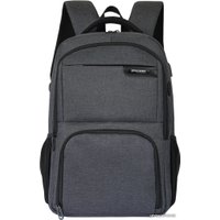 Городской рюкзак Spayder Roel