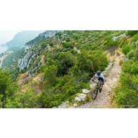 Велосипед Scott Scale 960 (2018)