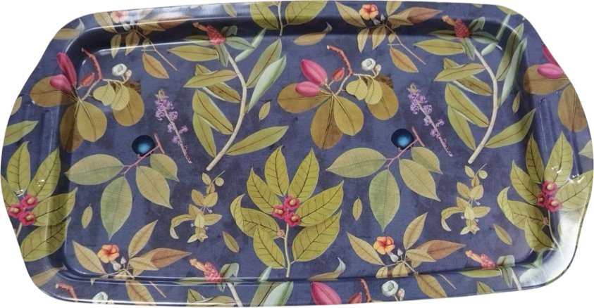 

Поднос Gala Дикая ягода PD135-P