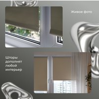 Рулонные шторы Franc Gardiner Blackout Silver 160x175 7794632 (светло-бежевый)