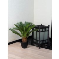 Искусственное растение Merry Bear Home Decor Пальма Саговая Цикас AR23065