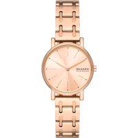 Наручные часы Skagen SKW3125 в Гомеле