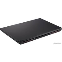 Игровой ноутбук CLEVO NP50DB SW13893