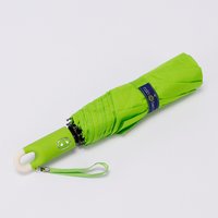 Зонт Rain Berry 734-1399.3 (салатовый)