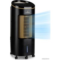 Климатический комплекс Klarstein IceWind Plus Smart (черный/античное золото)