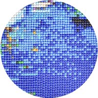 Алмазная мозаика  Феникс+ Пионы 68628