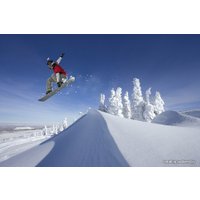 Экшен-камера Garmin Virb Elite