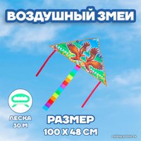 Воздушный змей Funny Toys Орёл 3949842