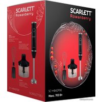 Погружной блендер Scarlett SC-HB42F66
