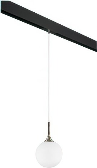 

Подвесная люстра Lightstar Globo PRO813021