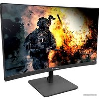 Игровой монитор AOPEN 24HC5QRSbmiipx