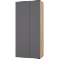 Шкаф распашной Modern Челси Ч50 угловой (золотой дуб/графит)
