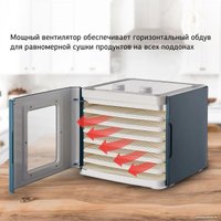 Сушилка для овощей и фруктов StarWind SFD6431