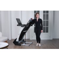 Электрическая беговая дорожка Orlauf Larus (серый)