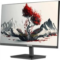 Монитор RDW Computers 2401K/F00В3100V2A1H