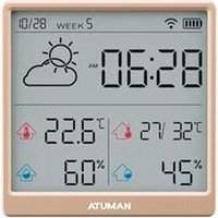 Термогигрометр Atuman Duka TH3 (золотистый)