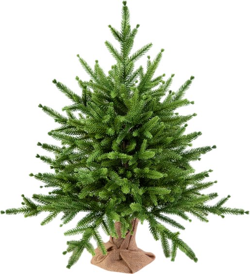 

Ель Царь Елка Инфинити ИнФ-60