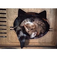 Когтеточка Чешир Меломан (коричневый)