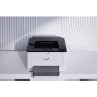 Принтер F+ PB301DN