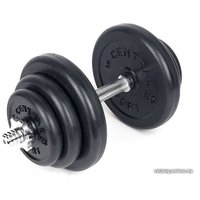 Набор гантелей с соединительным грифом  Central Sport 2в1 40 кг