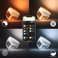 Ночник Philips Hue Iris (серебристый)