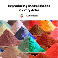 Телевизор Sony KD-55X80J