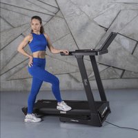 Электрическая беговая дорожка Orlauf Harrier (черный)