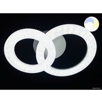 Припотолочная люстра Lusster SL-3418/1+1 WH