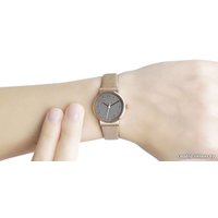 Наручные часы Skagen SKW2189