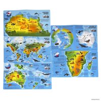 Детская настольная игра Bondibon Увлекательный мир животных и природы ВВ5551