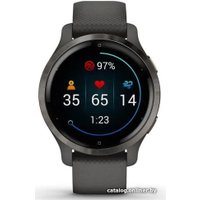 Умные часы Garmin Venu 2S (сланцевая нержавеющая сталь/черный)