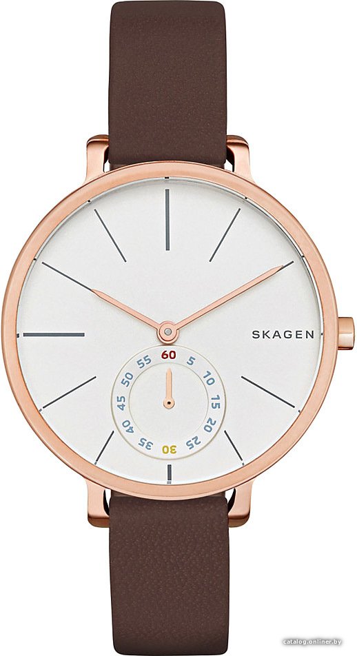 Наручные часы Skagen SKW2356
