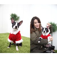 Куртка для животных Puppia Santa PDDF-SC23-RD-S (красный)